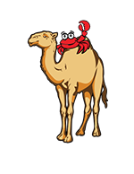 Timbuktu Restaurant 410-796-0733