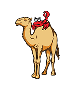 Timbuktu Restaurant